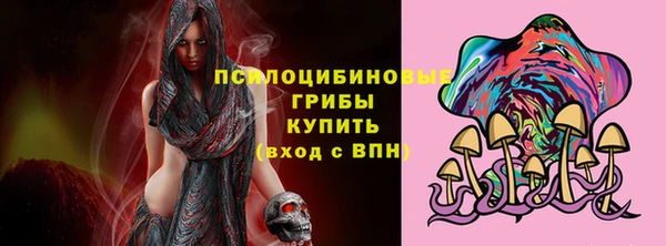 не бодяженный Гусиноозёрск