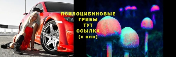 СК Богородск