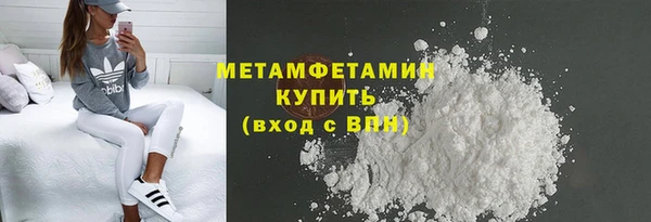 прущие грибы Богданович