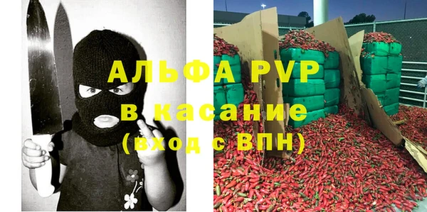 прущие грибы Богданович