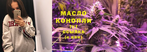 дживик Бронницы