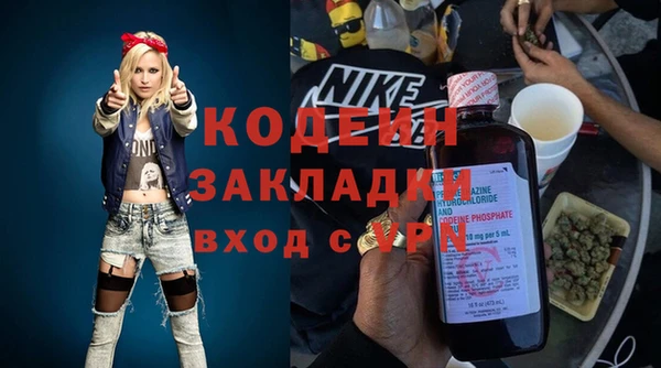 прущие грибы Богданович