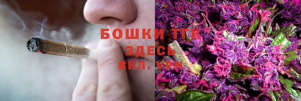 СК Богородск
