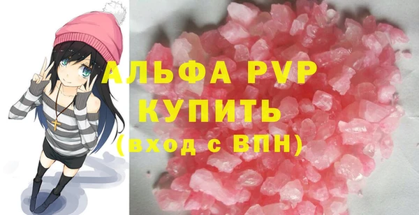 прущие грибы Богданович