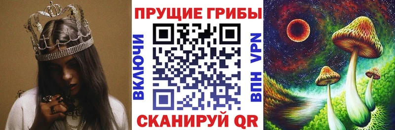Псилоцибиновые грибы ЛСД  Котельниково 
